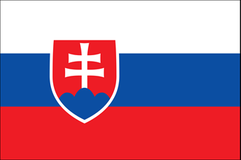 logo Slovaikan Army